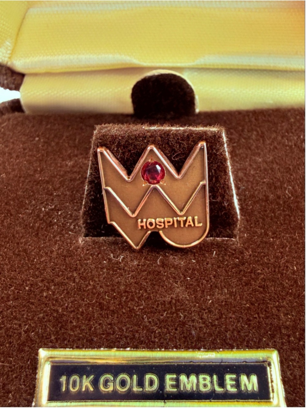 10K Solid Gold Ruby Hospital Medical Nurse Doctor O.C. Tanner Award Pin Brooch